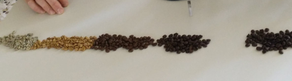 Le fasi della torrefazione del caffè